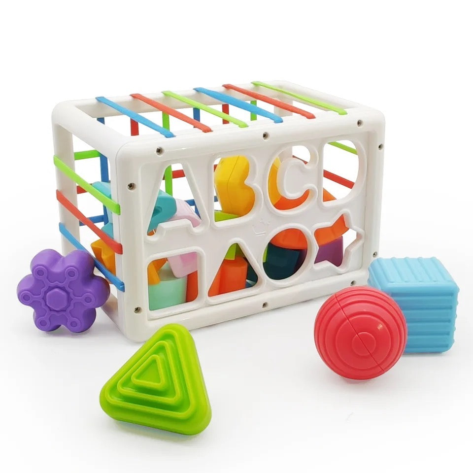 Inside Bin Blocks Sorting Toy Games Montessori Learning Educational Toys - WaWeen Toys