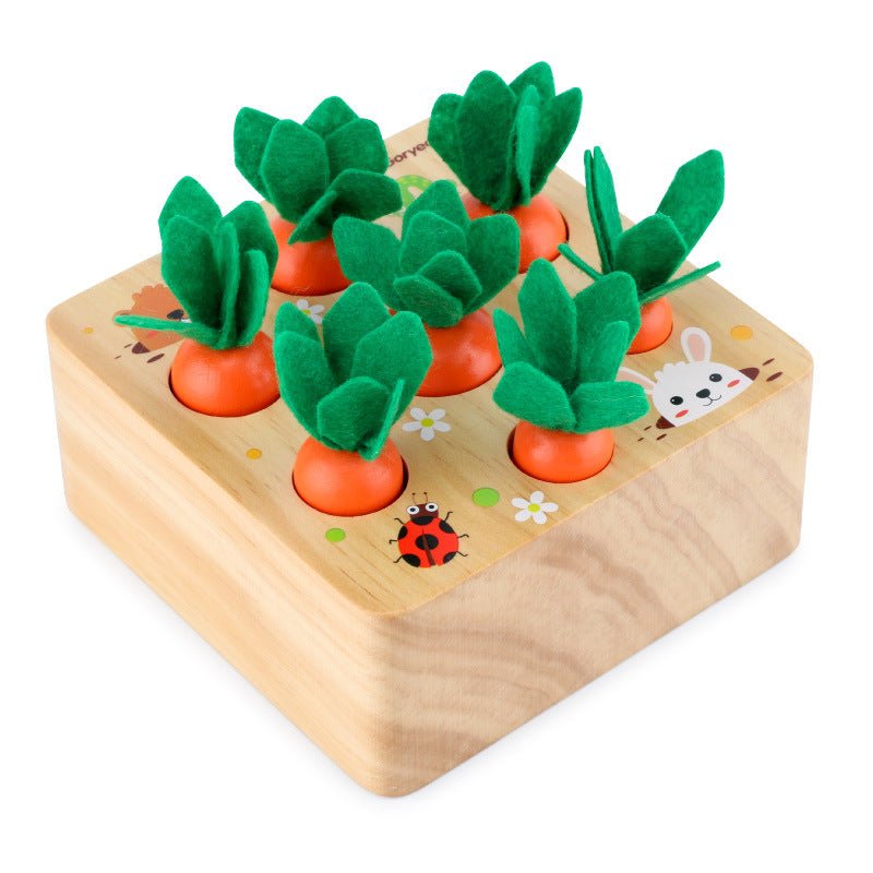 Carrots Harvest Educational Toys - WaWeen Toys