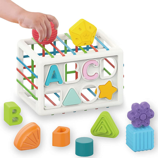 Inside Bin Blocks Sorting Toy Games Montessori Learning Educational Toys - WaWeen Toys